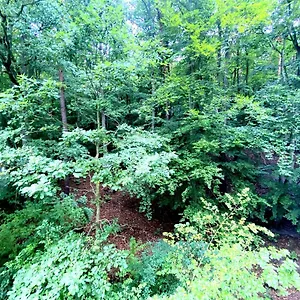  Apartament Forest - 23 Marca By Grand